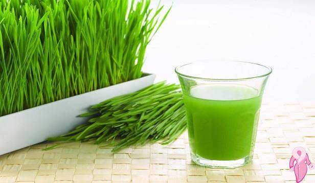Buğday Çimi Suyu Nasıl Yapılır? 1 Buğday Çimi Suyu Nasıl Yapılır? - Bugday Cimi Suyu Nasil Yapilir 58Ef45B005381
